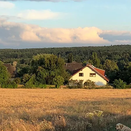Feldrandlage - Mit Balkon Und Eigenem Parkplatz Alloggio in famiglia Ober-Mörlen